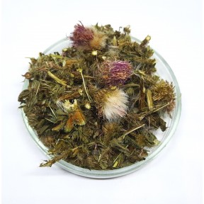 Scotch Thistle Herb . Onopordum Acanthium main photo