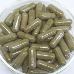 Aloe Vera Leaf - 500 mg Vegan Capsules Herbal