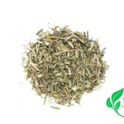 Cleavers Herb | Galium aparine | Dried Herbs | Herbal Tea