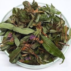 Vervain Herb. Verbena Officinalis .Vervain Dried. Vervain.