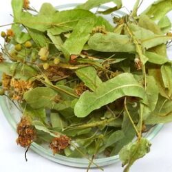 Linden Flowers. Linden Flower Tea.| Tilia cordata | Dried Linden Leaves & Flowers. Tilia Cordata . Natural. Herbalist