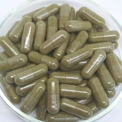 Hawthorn Capsules - 500 mg Vegan Capsules Herbal