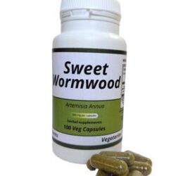 Sweet Wormwood / Artemisia annua /Capsules - 500 mg Vegan Capsules Herbal