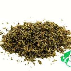 Damiana Leaf | Dried Herb | Natural Herbs | Herbal Products | Tea | | Dried Herbs | Herbal Tea