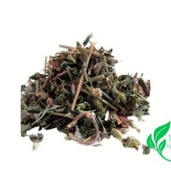 Skullcap Herb | Baikal skullcap | Scullcap Tea | | Huang Qin | Scutellaria baicalensis | Herbal Tea