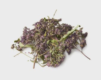 Organic oregano herb Dried Herb