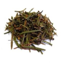 Saltwort Herb | Russian Thistle Herb | Salsola collina ( Salsola laricifolia) | Herbal Tea | Dried Herbs | Herbal Tea| Premium Quality