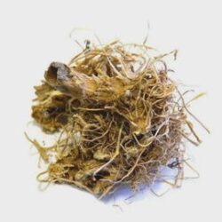 Jacob's Ladder Root | Polemonium caeruleum | Herbal Tea| Premium Quality