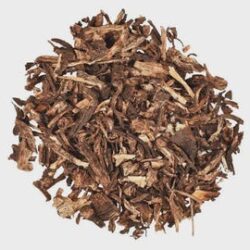 Angelica Root | Radix Archangelicae | Herbal Tea| Premium Quality