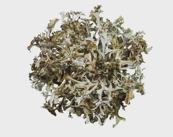 Iceland Moss Dried Herb