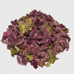 Amaranth flowers | Amaranthus paniculatus | Herbal Tea | Dried Herbs | Herbal Tea| Premium Quality