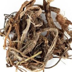 Neglected sweetvetch | Red Root | Hedysarum neglectum | Herbal Tea | Dried Herbs | Herbal Tea| Premium Quality