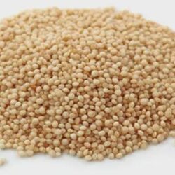 Amaranth Seeds | Amaranthus paniculatus | Herbal Tea | Dried Herbs | Herbal Tea| Premium Quality