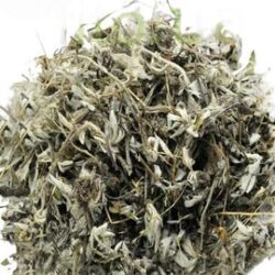 Mouseear Hawkweed Herb | Hieracium Pilosella | Herbal Tea | Dried Herbs | Herbal Tea| Premium Quality