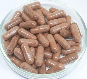 Elderberry | Sambucus Nigra | 500mg vegetarian capsules made fresh to order