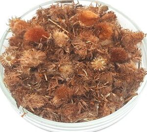 ARNICA FLOWER | Arnica Montana | Arnica Flowers | Arnica Tea | Herbal Tea | Dried Flowers | Organic Herbs | Herba | Tea | Flowers