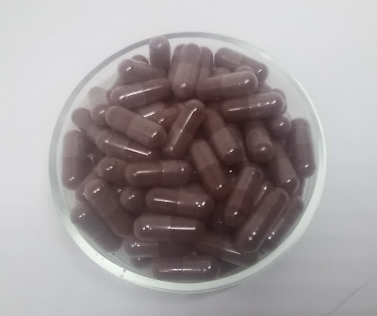 Wild Bilberries Capsules