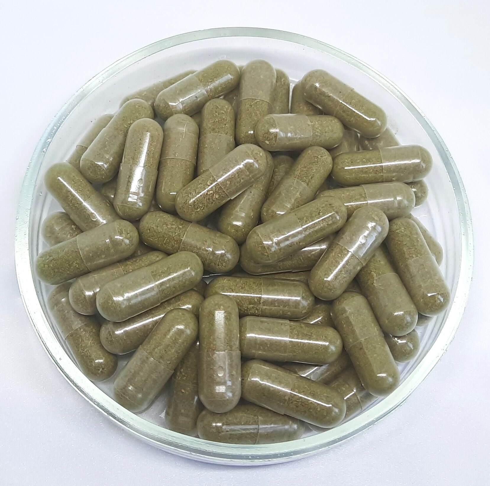 Bladderwrack Capsules