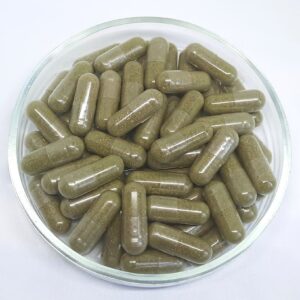 Bearberry Leaf | Uva-Ursi-Folium | Capsules - 500 mg Vegan Capsules Herbal
