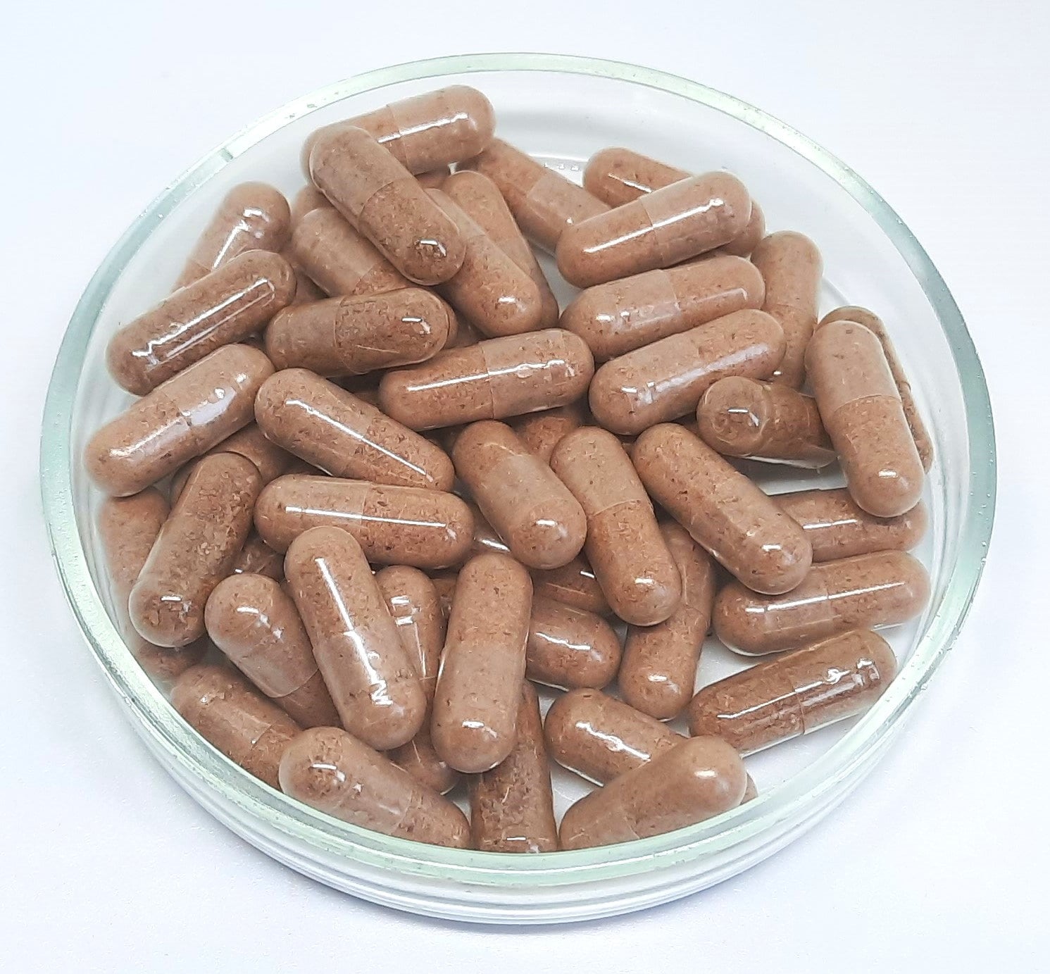 Walnut Shell Partitions / Walnut Septa Capsules
