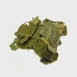 Birch Leaf | Common Birch Leaf | birch leaves | Herbal tea | Natural dried leaf | Betula Pendula Roth Folia | Herbal Tea| Premium Quality