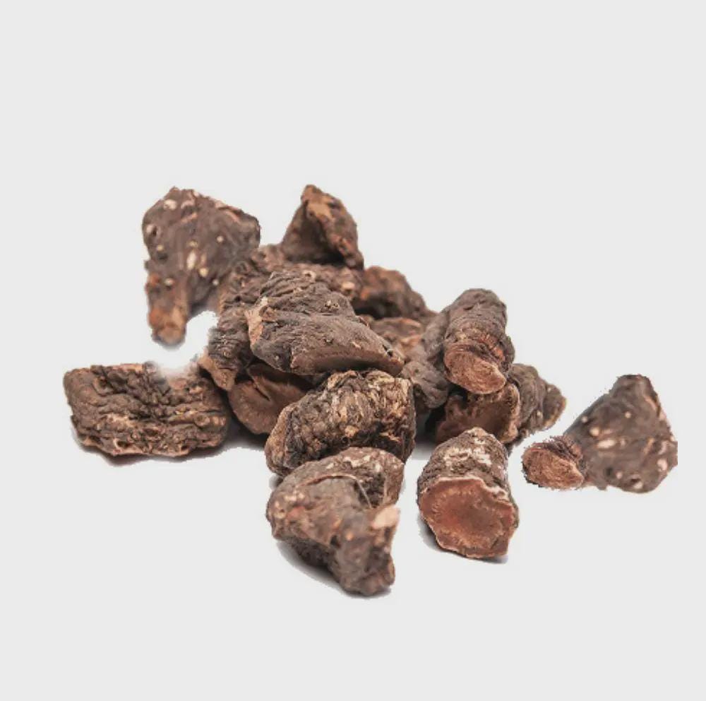 Bistort Rhizome Dried Herb