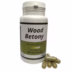 Wood Betony (Betonica officinalis) 500mg vegetarian capsules
