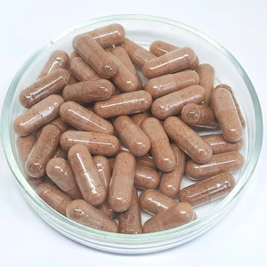 Blackthorn Berries | Sloe Berries | Prunus spinosa  | capsules  - 500 mg Vegan Capsules Herbal