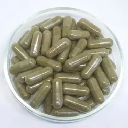 Lady's Mantle | Alchemilla vulgaris 500mg vegetarian capsules