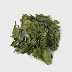 White mulberry leaf | morus alba | mulberry leaves | mulberry tea | Herbal Tea  | Dried Herbs | Herbal Tea| Premium Quality