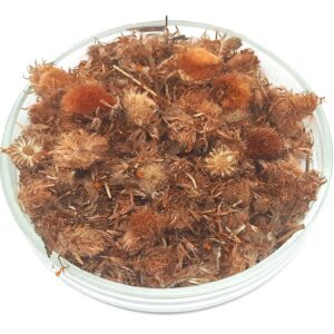 ARNICA FLOWER | Arnica Montana | Arnica Flowers | Arnica Tea | Herbal Tea | Dried Flowers | Organic Herbs | Herba | Tea | Flowers
