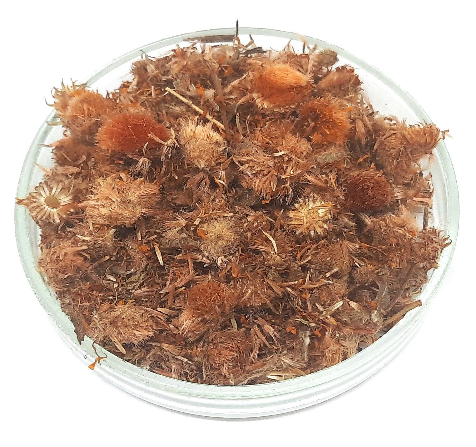 ARNICA FLOWER | Arnica Montana | Arnica Flowers | Arnica Tea | Herbal Tea | Dried Flowers | Organic Herbs | Herba | Tea | Flowers