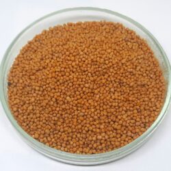 White Mustard Seeds | White Mustard Seeds | Mustard | Sinapis Alba | Spices | Dried Seeds, Aromatic | Cooking | Specialty