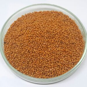 White Mustard Seeds | White Mustard Seeds | Mustard | Sinapis Alba | Spices | Dried Seeds, Aromatic | Cooking | Specialty