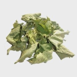 Black Currant Tea | Black Currant Leaf | Ribes nigrum | Herbal Tea | Dried Herbs | Herbal Tea| Premium Quality