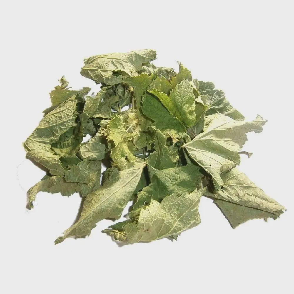Black Currant Tea | Black Currant Leaf | Ribes nigrum | Herbal Tea | Dried Herbs | Herbal Tea| Premium Quality