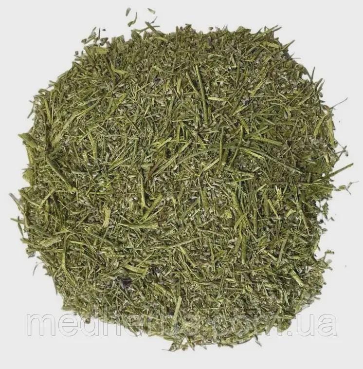 Forget Me Not Herb Dried Herb