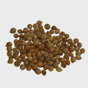 Coriander Seed | Coriandrum sativum | Herbal Tea | Dried Herbs | Herbal Tea| Premium Quality