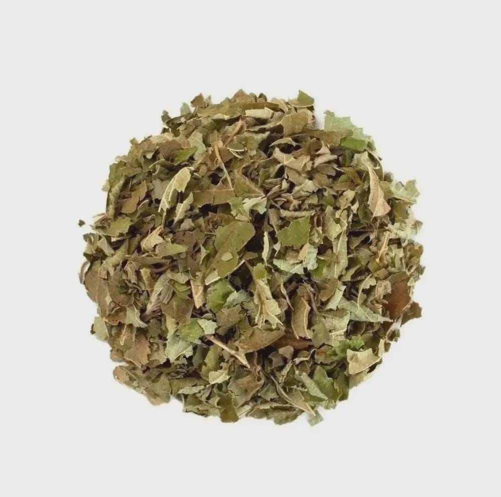 Hazel Leaf Dried Herb