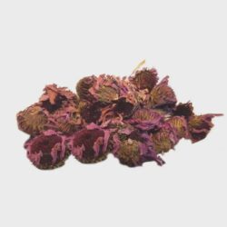 Echinacea Flowers | Echinacea Tea | Echinacea purpurea | Herbal Tea | Dried Herbs | Herbal Tea| Premium Quality