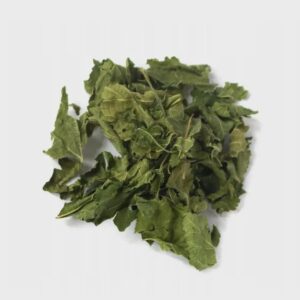 White mulberry leaf | morus alba | mulberry leaves | mulberry tea | Herbal Tea | Dried Herbs | Herbal Tea| Premium Quality