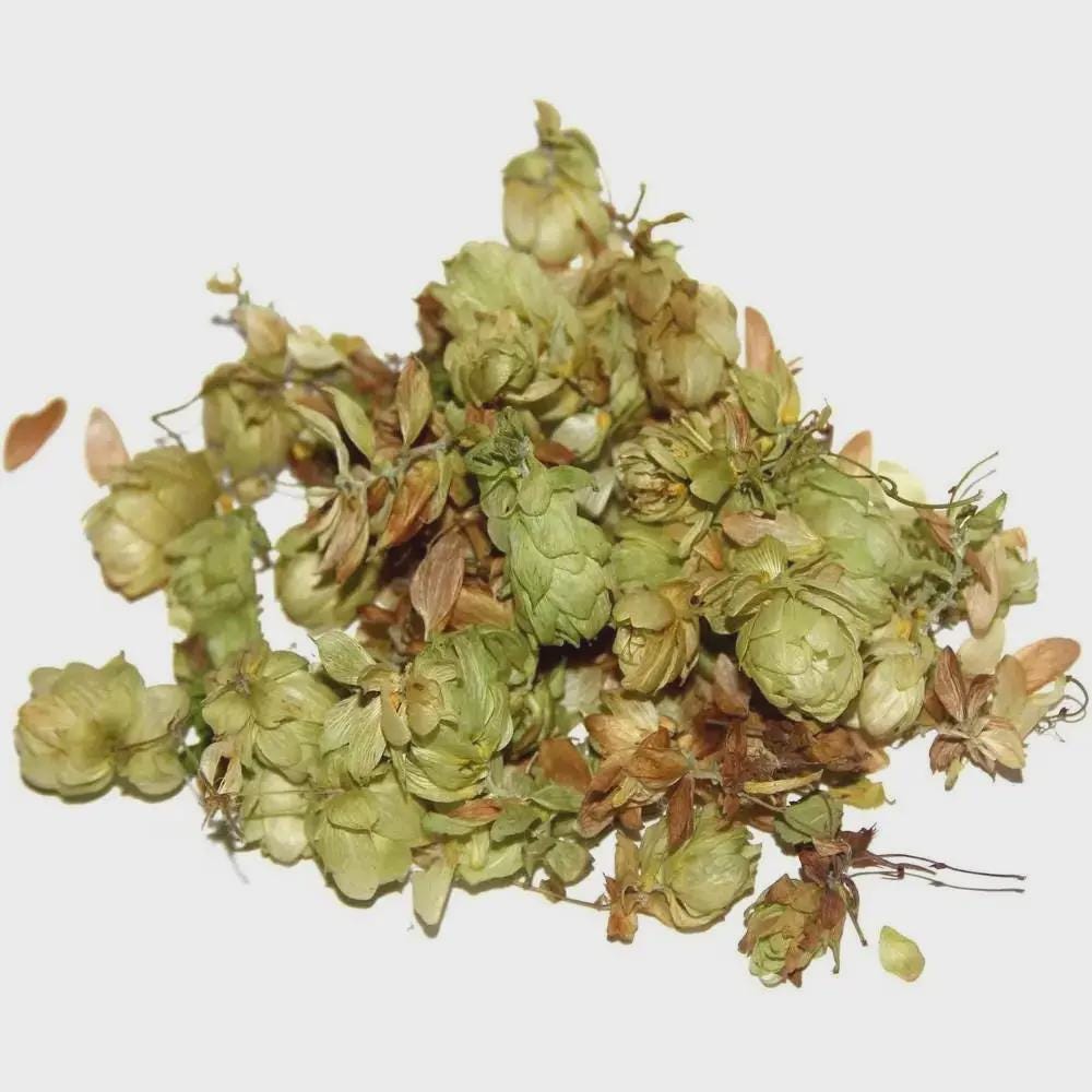 Hops Flowers Dried Herb