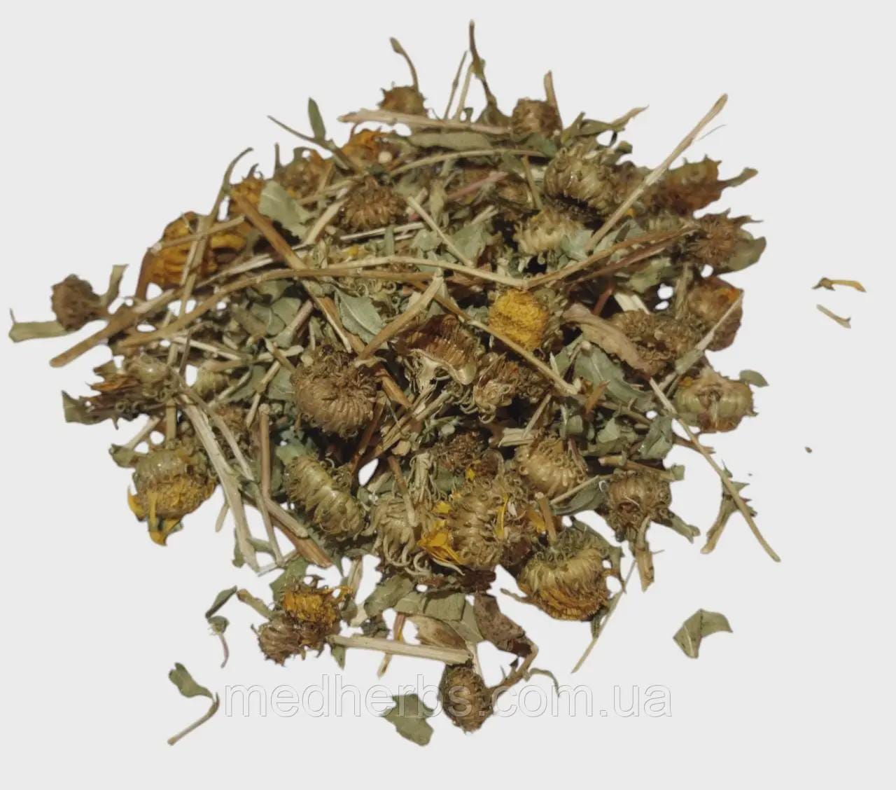 grindelia herb Dried Herb